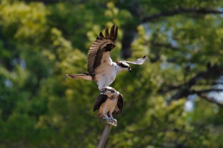 Reader Pics: April 9