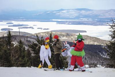 Gunstock