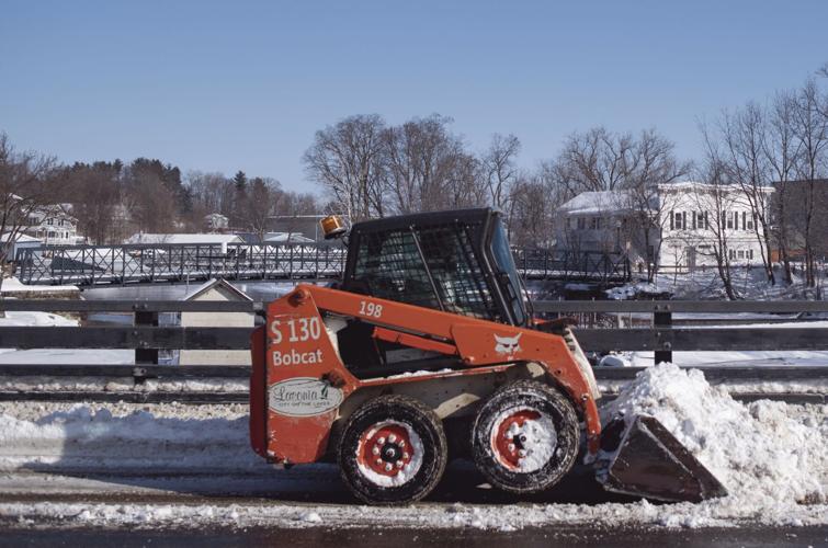 Bobcat on the bridge