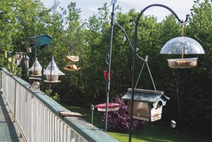 Birdhouses