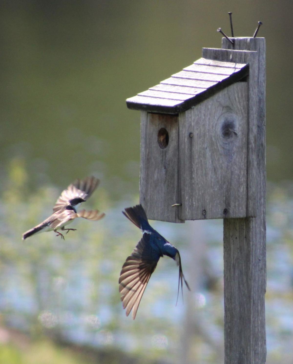 Reader Pics: May 23