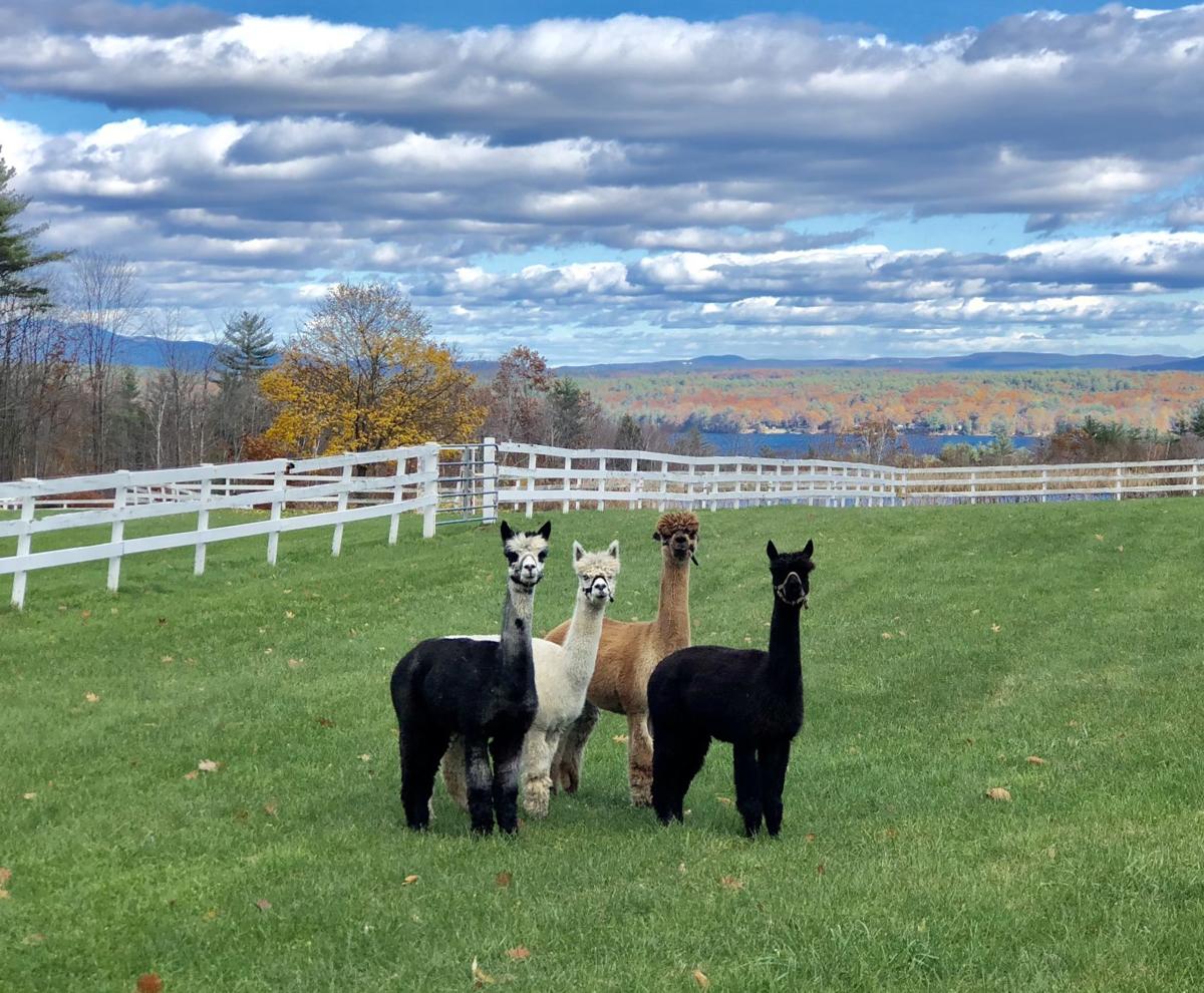 Reader Pics: Nov. 9