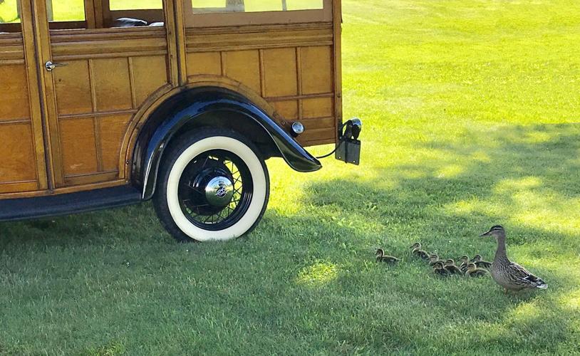 Reader Pics: June 19