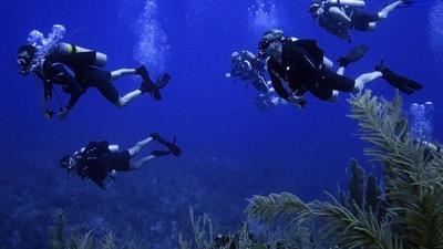 Former Navy SEALs are diving to save the ocean