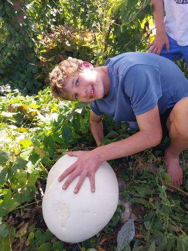 Reader Pics: Oct. 12