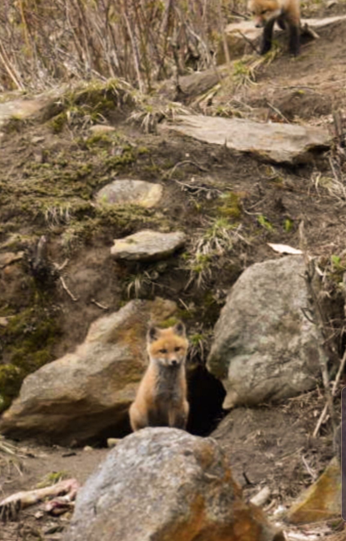 Reader Pics: May 12