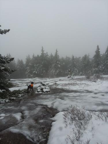 Reader Pics: Nov. 15