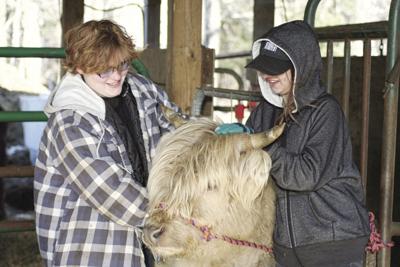 06-21 OUTDOOR Kylie_InPixio.jpg