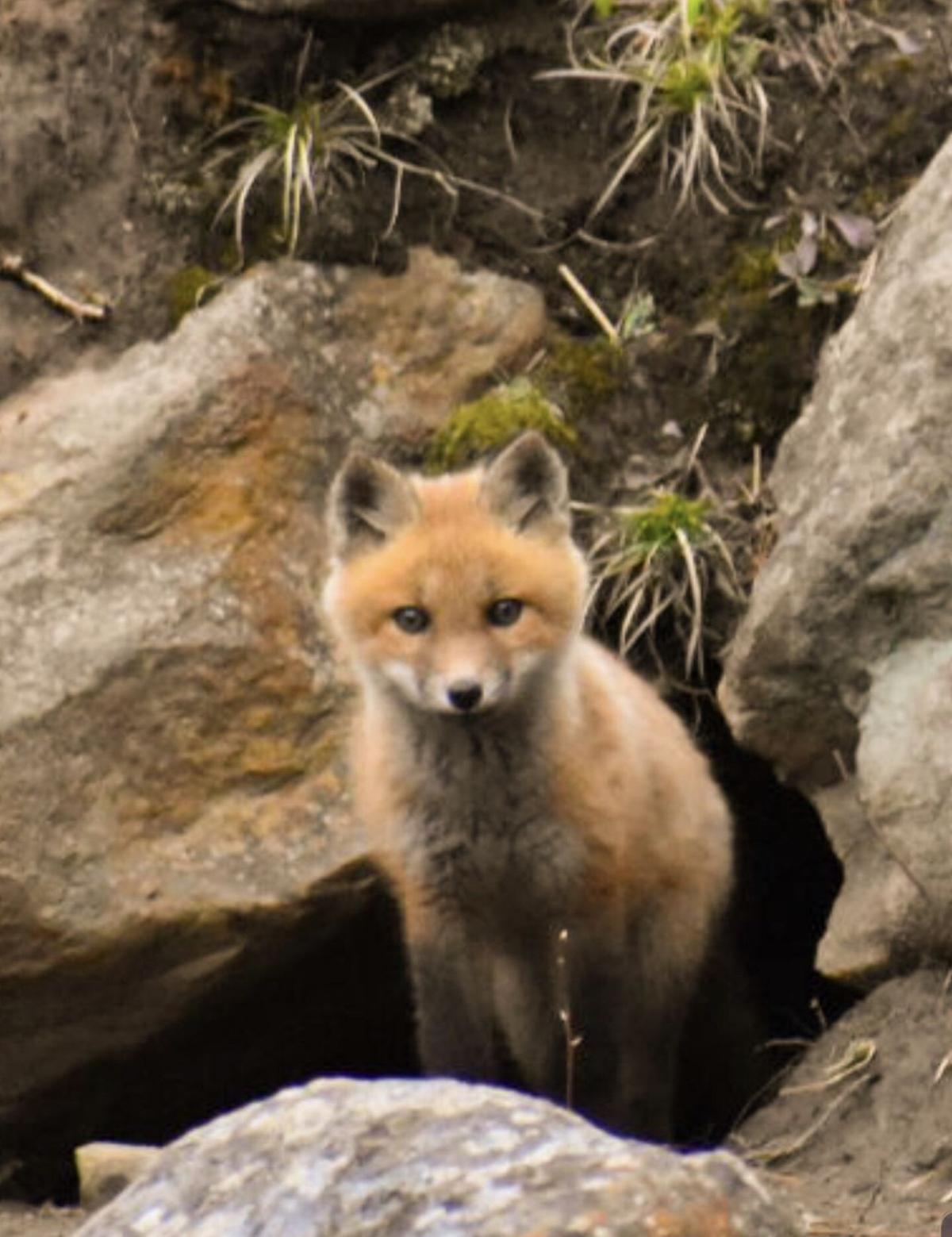Reader Pics: May 12