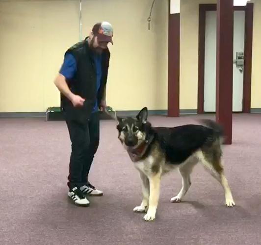 12-19 Sicario screenshot