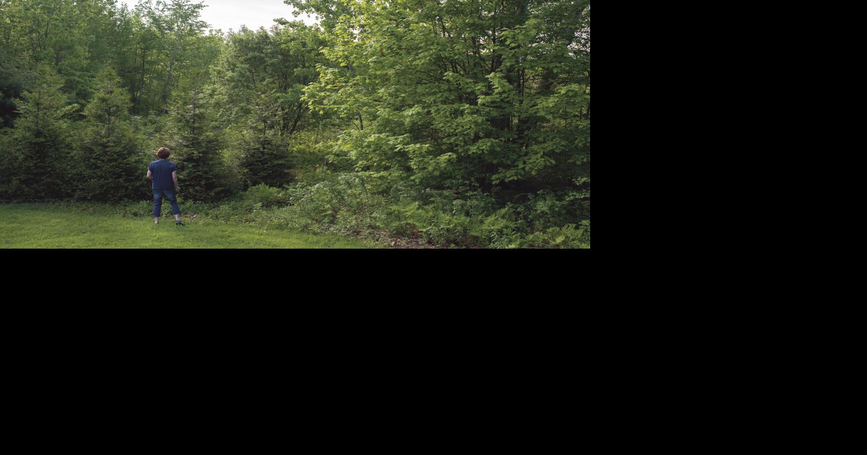 Backyard birdwatching