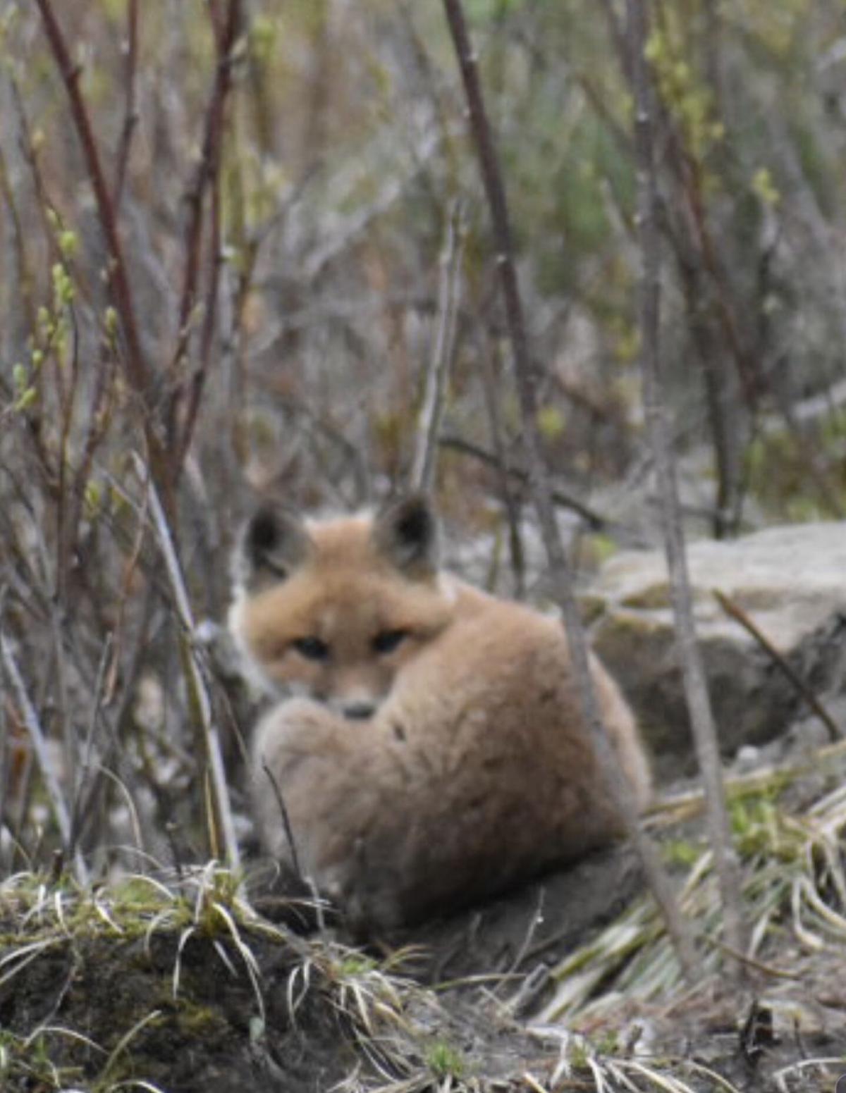 Reader Pics: May 12