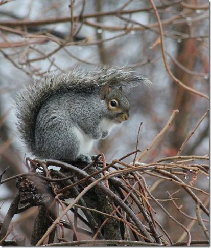 Reader Pics: Dec. 24