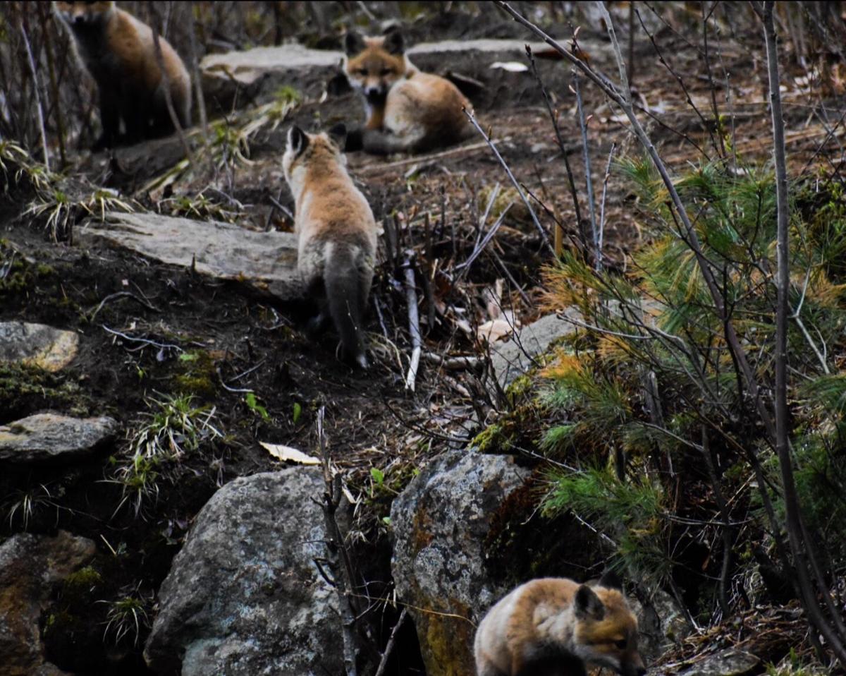 Reader Pics: May 12