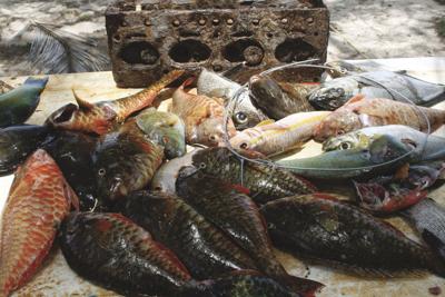 07-16  LS 10.05.08 Derek's catch at Sam Lord's Castle (3).jpg