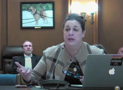 Rep. Kelley Potenza