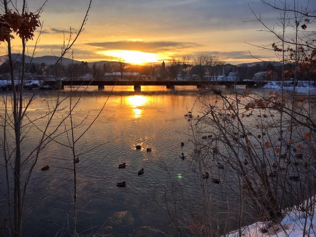 Reader Pics: Jan. 30