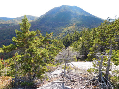 Lakes Region Hiking — Hedgehog: a small mountain with big views