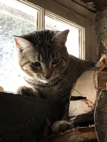 Reader Pics: Nov. 28