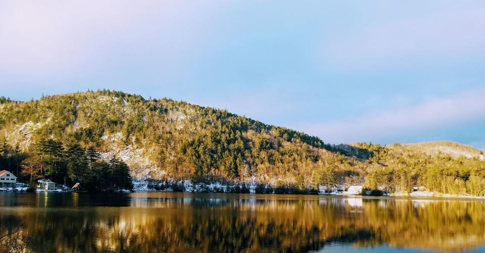 Reader Pics: Dec. 12