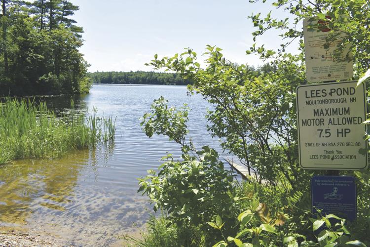 Lee's Pond