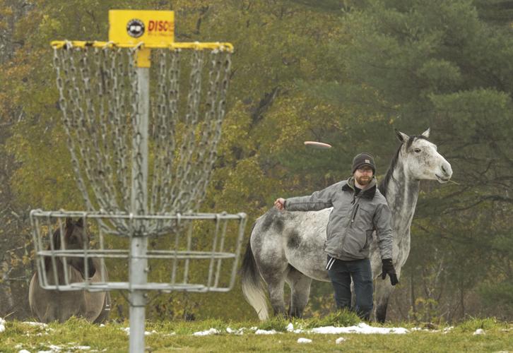 10-30 Disc Golf Horse