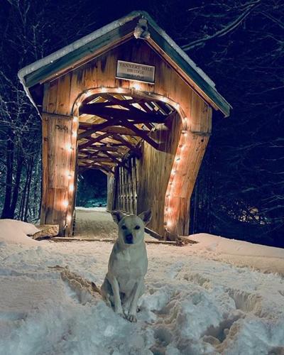 Reader Pics: Dec. 10