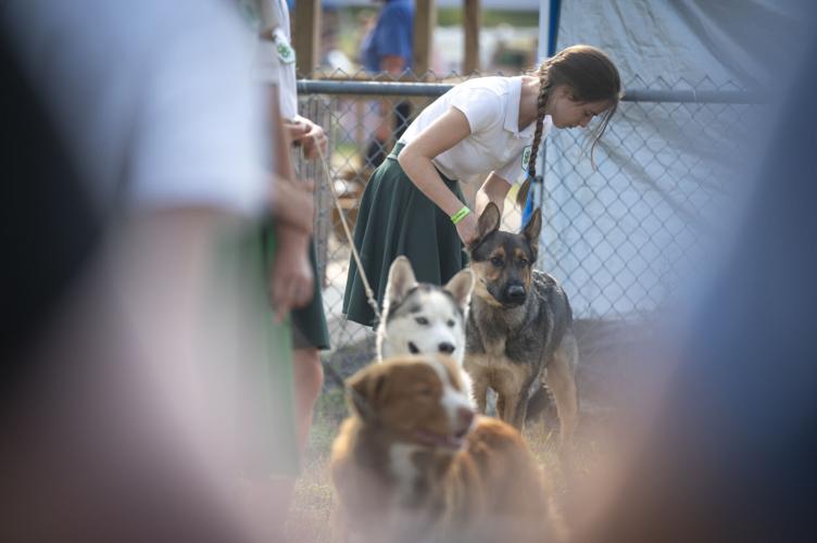 Jenny Wood competes with Apollo