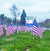 Lakes Region Community Center, Humble Grunt Work lay flags for Veterans Day