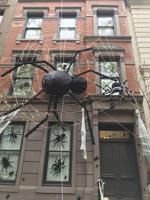 The spirits of Hallowe’en