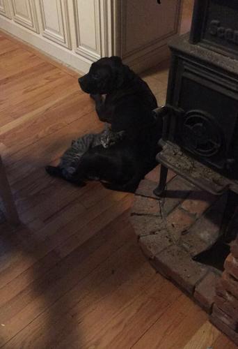 Reader Pics: Nov. 30 - 2