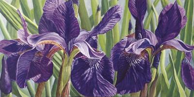 Sublimely Purple