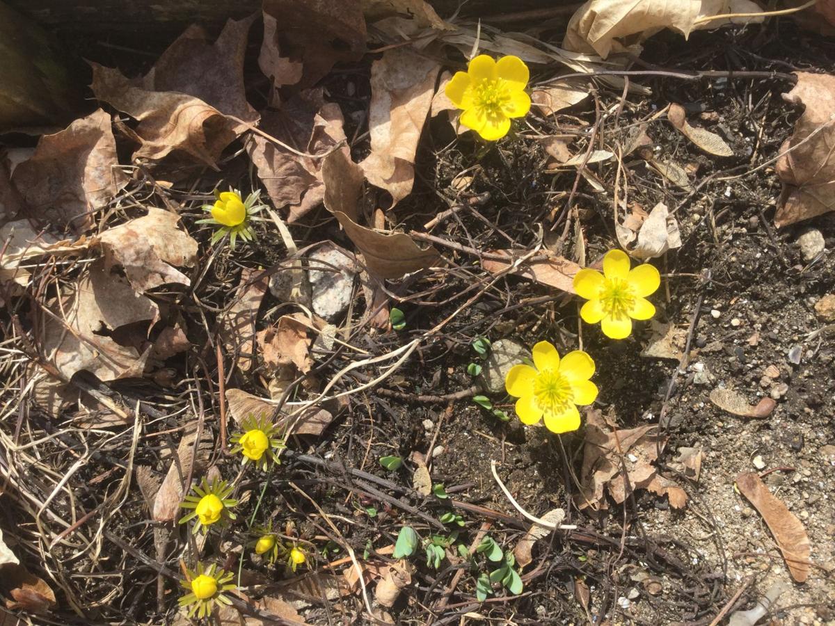 Reader Pics: March 17