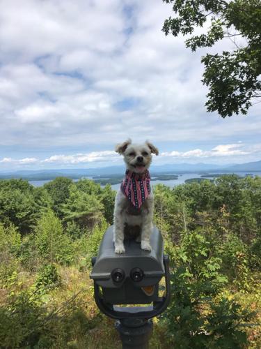 Reader Pics: Aug. 19