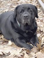 Lucky Jr. targeted in email hack