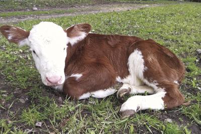 04-03 OUTDOORS CholeBaby_InPixio.jpg