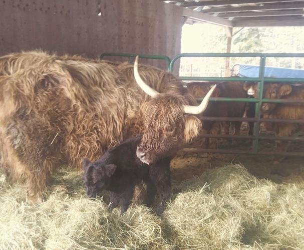 01-10 OUTDOORS Puff+Lucy_InPixio.jpg