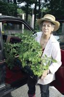 Wright Museum Victory Garden helps battle hunger