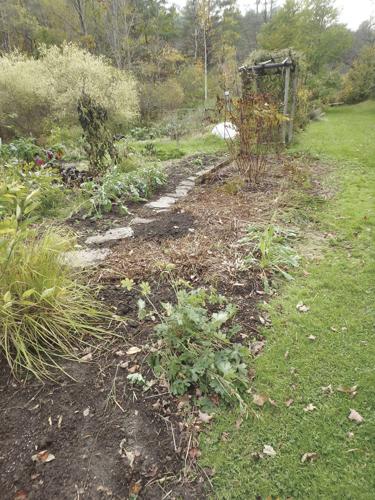 10-11 FALL HOME Most perennials.jpg