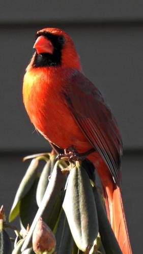 Reader Pics: March 21