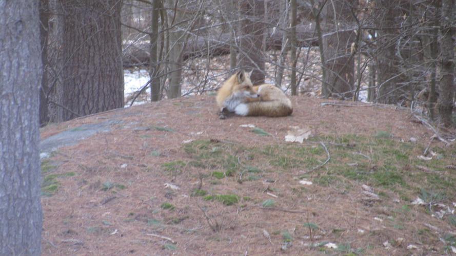 Reader Pics: April 22