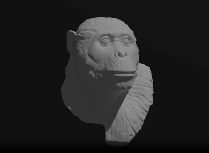 Screenshot 2026-03-26 at 11.03.58 AM