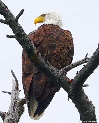 Reader Pics: July 27