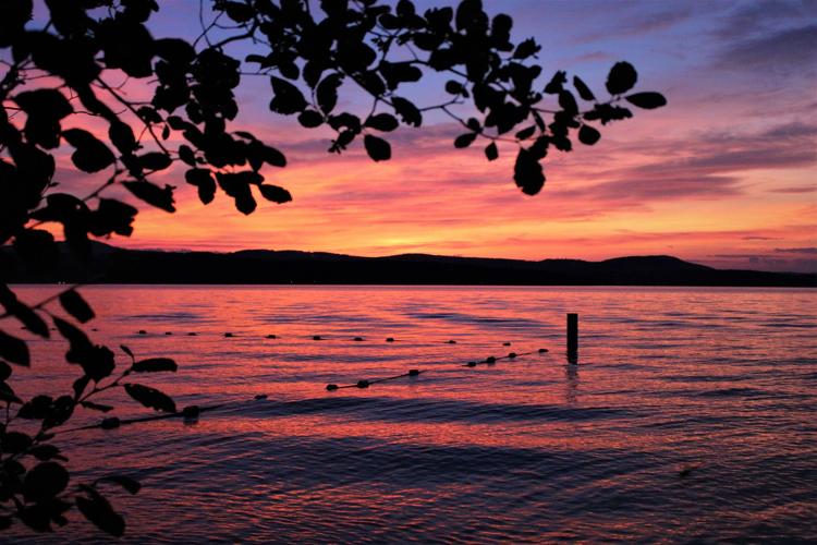 Reader Pics: July 24