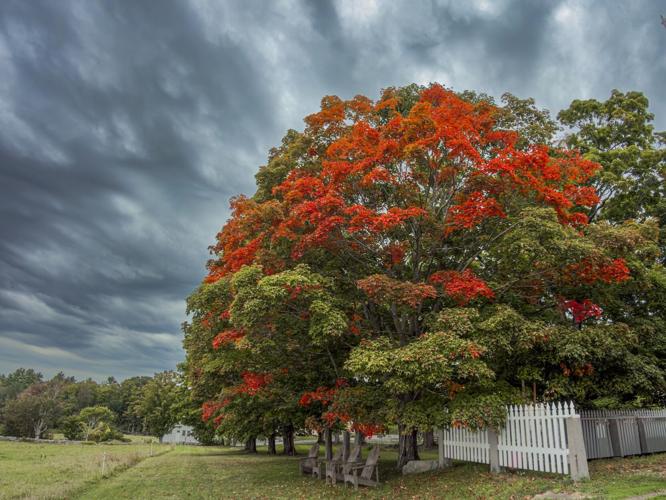 Reader Pics: Sept. 23