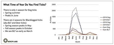 TICK GRAPH