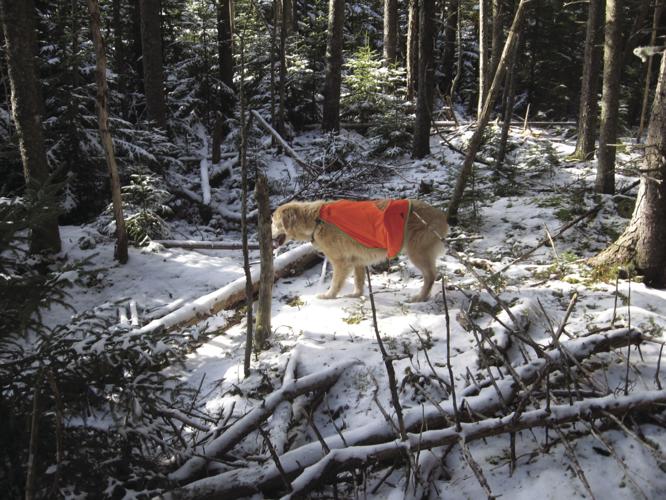 11-20 OUTDOORS IMG_3531.JPG