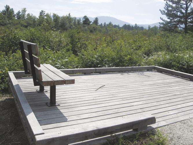 09-06 OUTDOOR IMG_3379.jpg