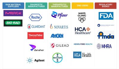 Precision Diagnostics & Medicine Market to Reach USD 246.66 Billion by 2029