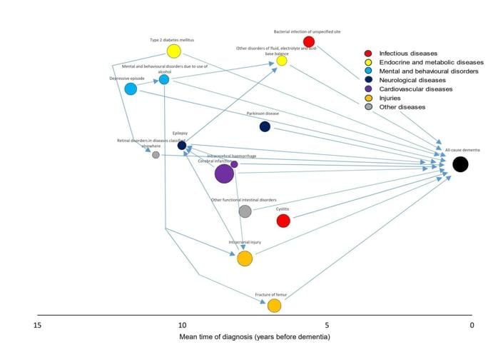 Cystitis raises the risk of dementia, warns new research